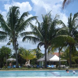 Meet your Posher, Rhonda